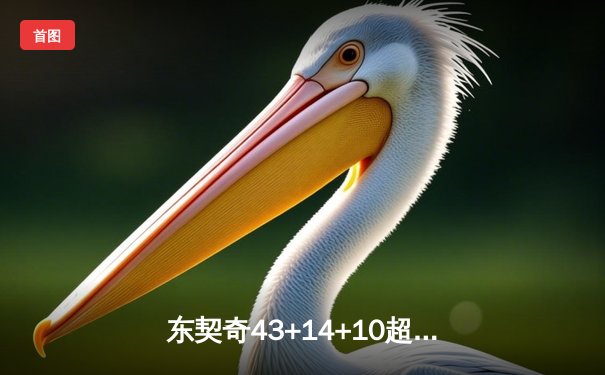 东契奇43+14+10超级三双击沉快船，独行侠西决门票争夺占得先机